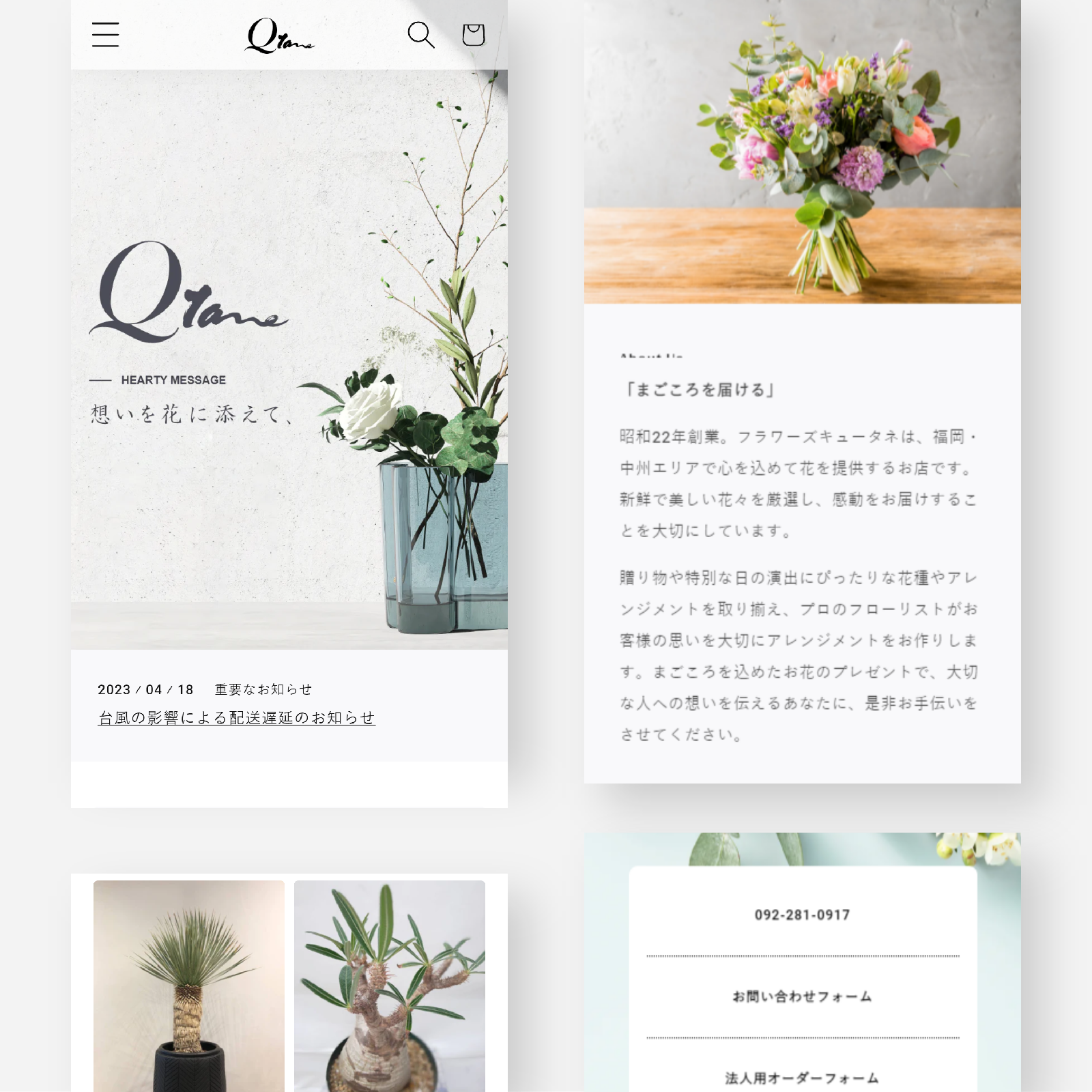 Delight Works（デライトワークス） ECサイト構築のBESTパートナー | Shopify | ショッピファイ | ECサイト | 制作実績